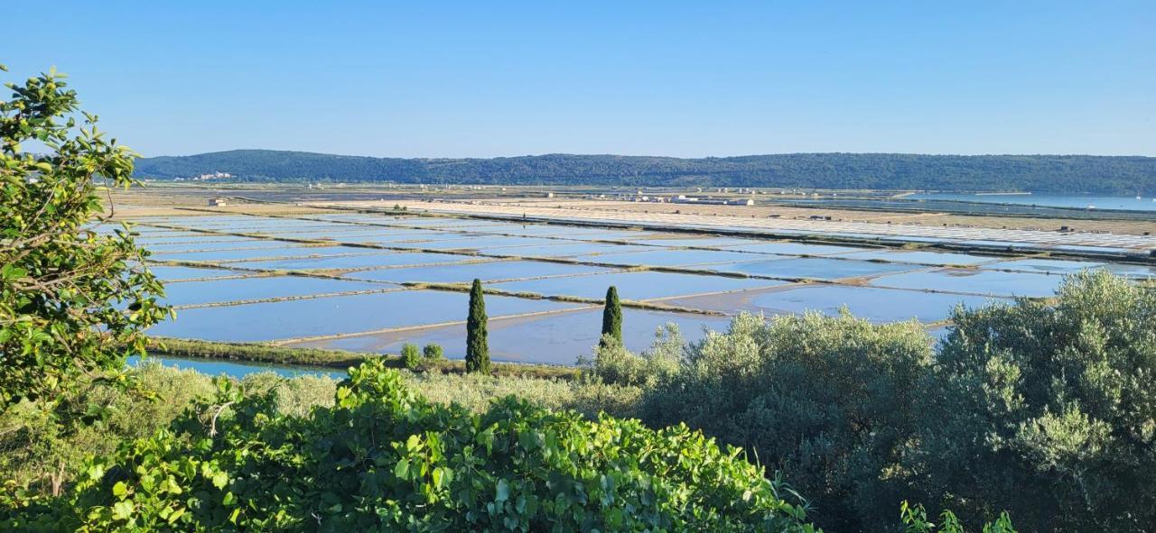 Apartment Salt Pans View Πορτορόζ Εξωτερικό φωτογραφία