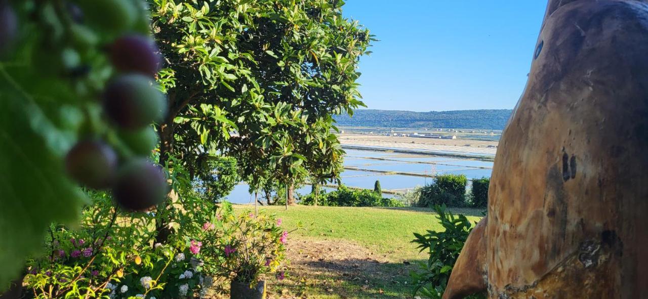 Apartment Salt Pans View Πορτορόζ Εξωτερικό φωτογραφία