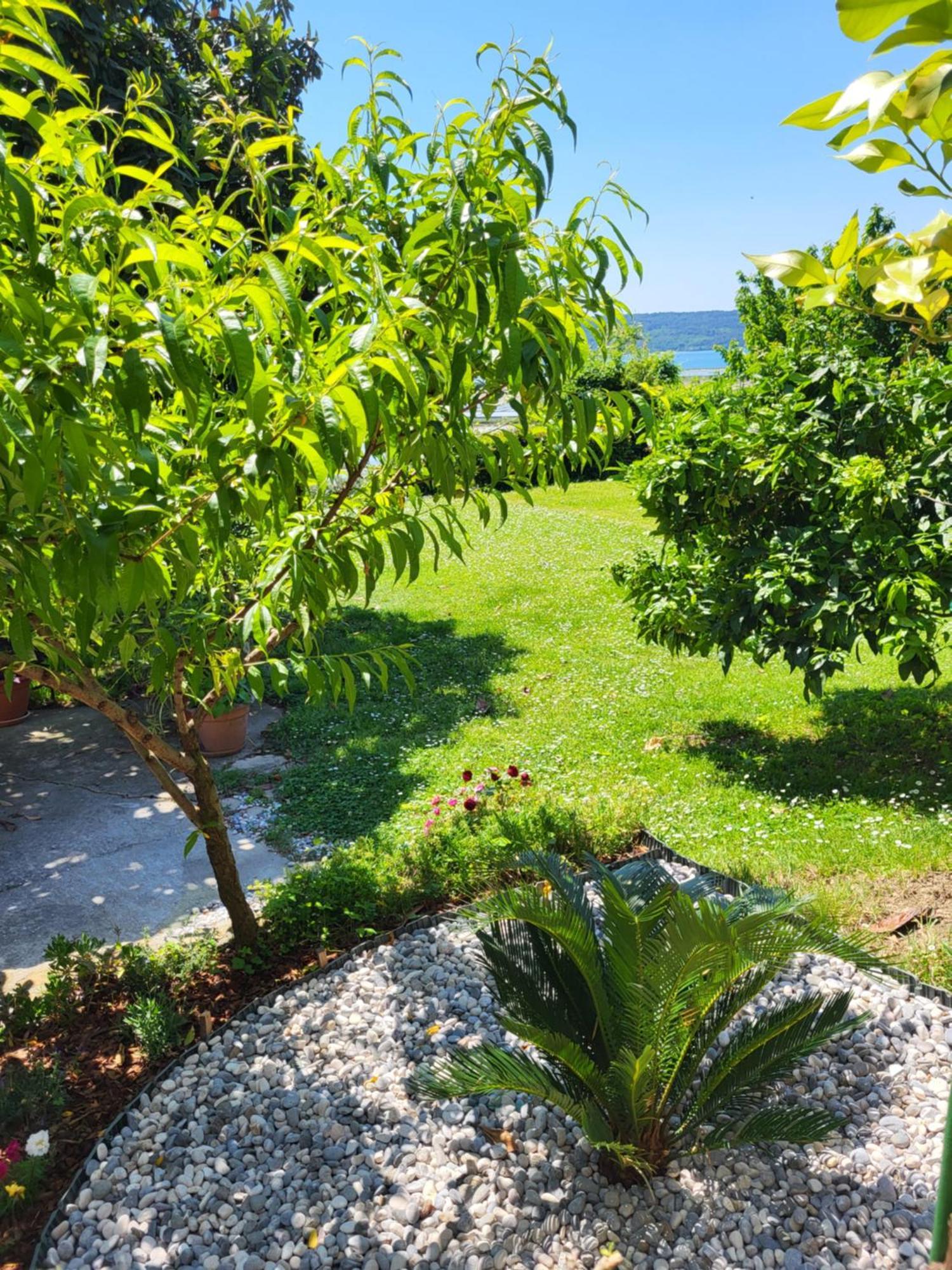 Apartment Salt Pans View Πορτορόζ Εξωτερικό φωτογραφία