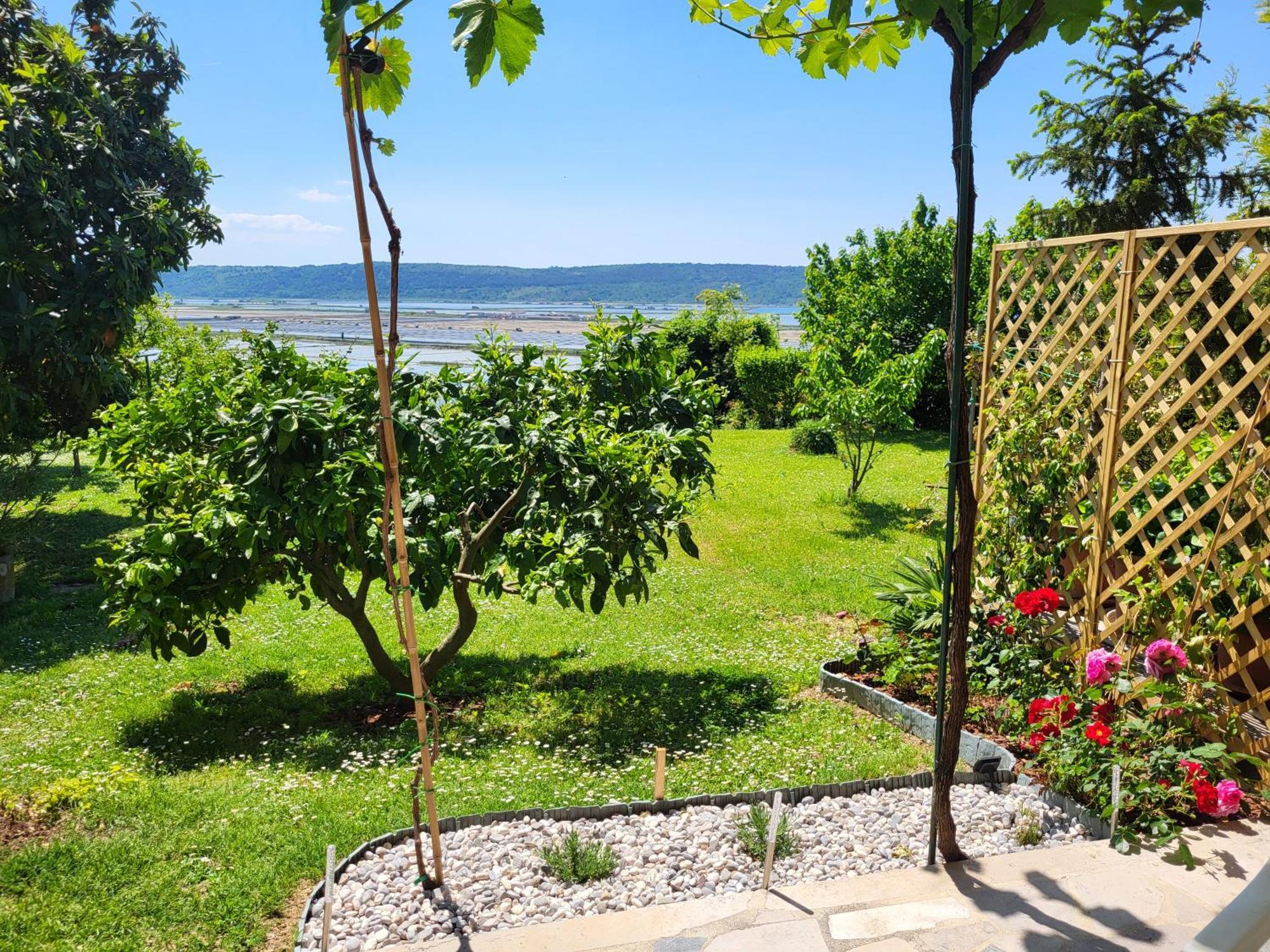 Apartment Salt Pans View Πορτορόζ Εξωτερικό φωτογραφία