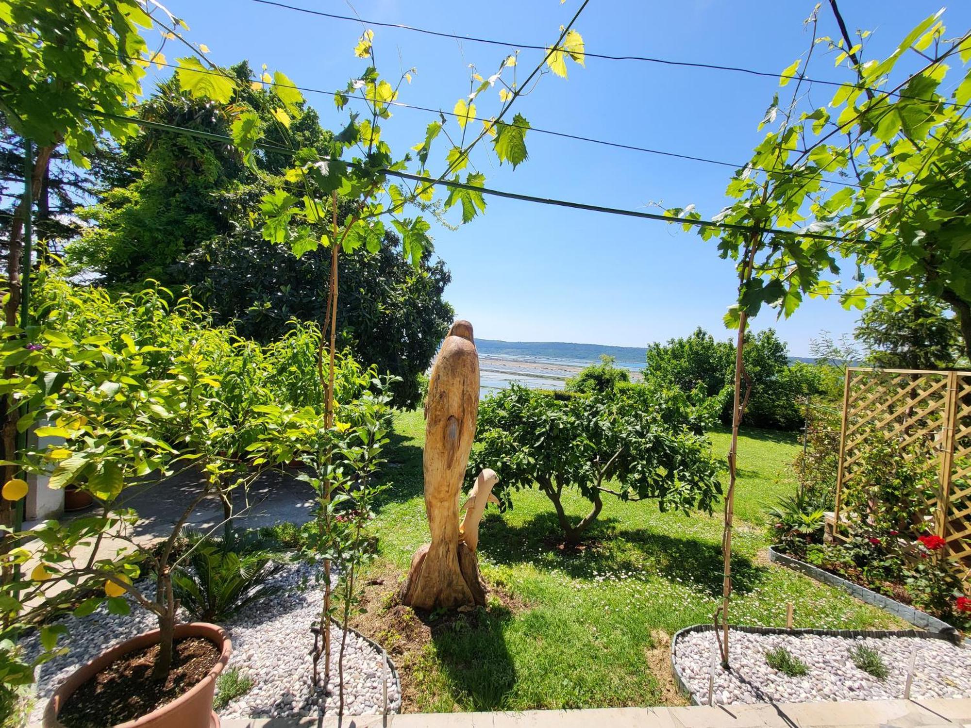 Apartment Salt Pans View Πορτορόζ Δωμάτιο φωτογραφία
