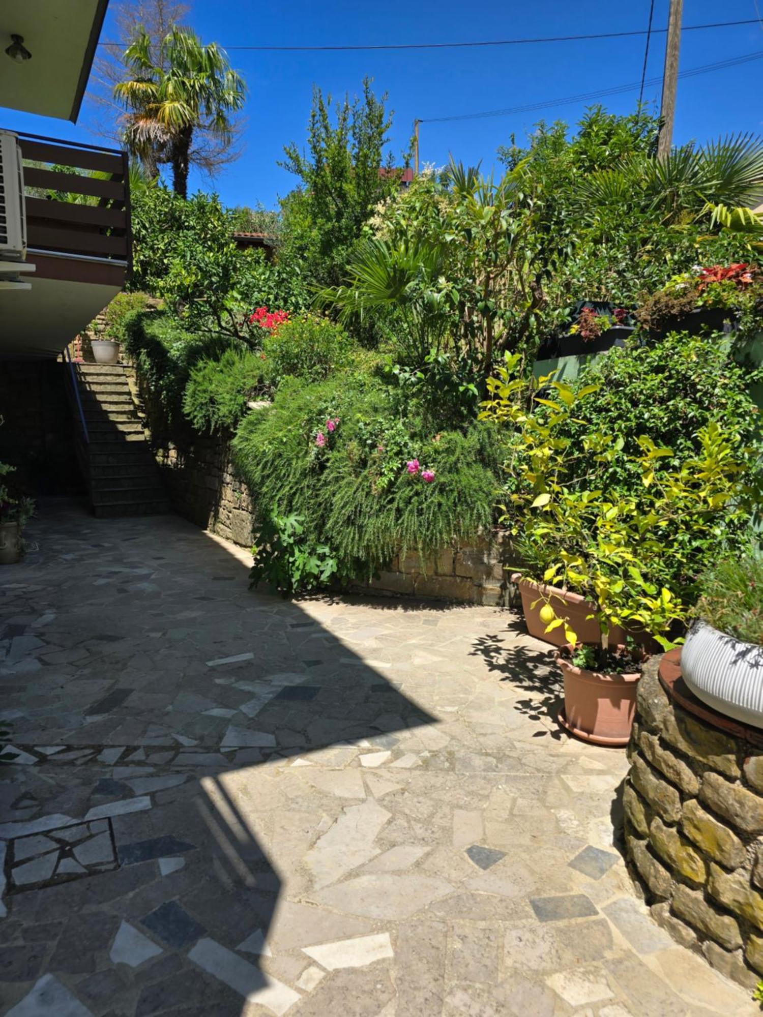 Apartment Salt Pans View Πορτορόζ Εξωτερικό φωτογραφία